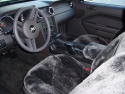 Ford Mustang Sheepskin Seat Covers
