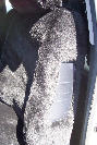 Lexus IS300 Sheepskin Seat Covers